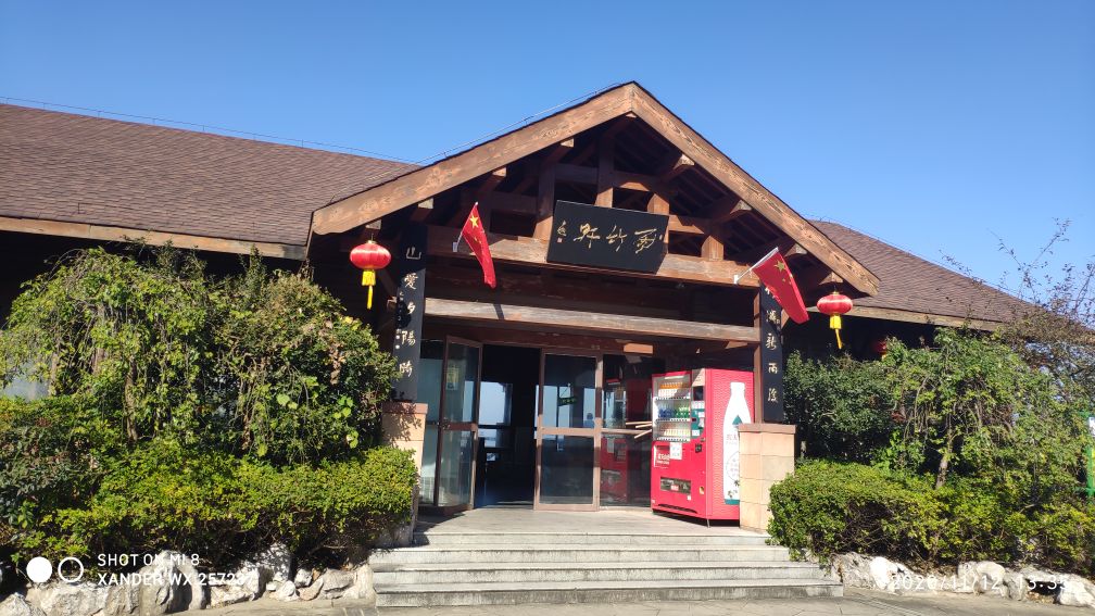 宜兴竹海十一月金色素材图片