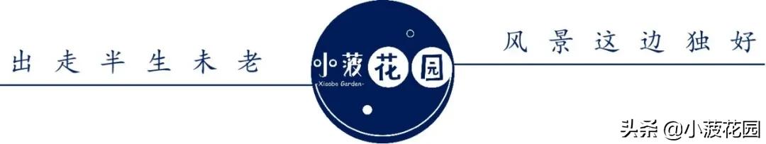 毛主席是运用“形而下”的高手，高高手