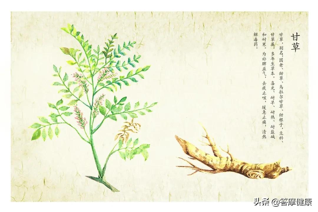 湿疹、犯困…折磨人的「湿邪」到底是什么？怎么辨？怎么治？