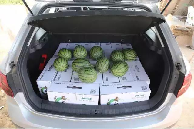 德国平民旅行车,不到20万买旅行车