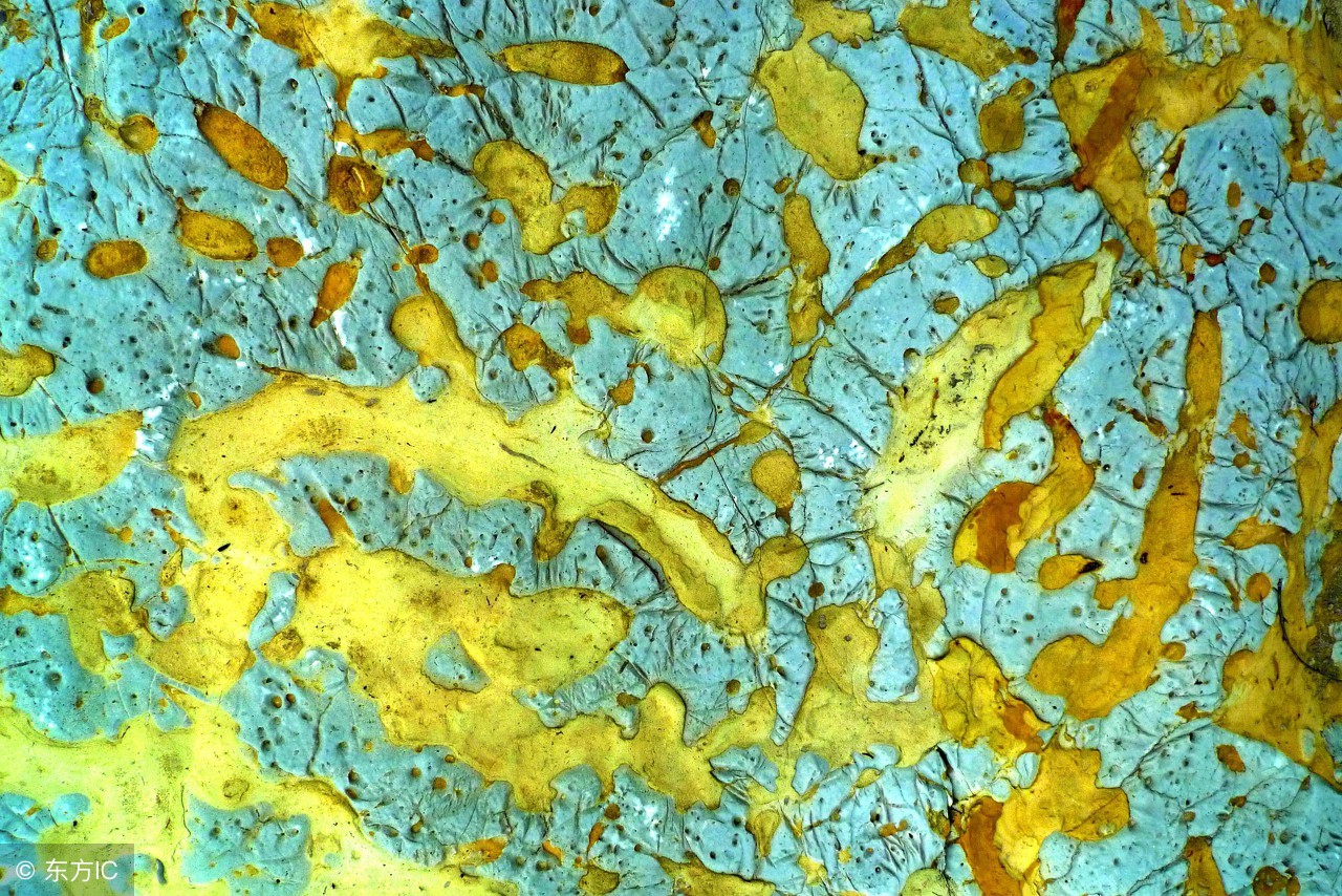 济南四大泉群,济南四大泉群全景图