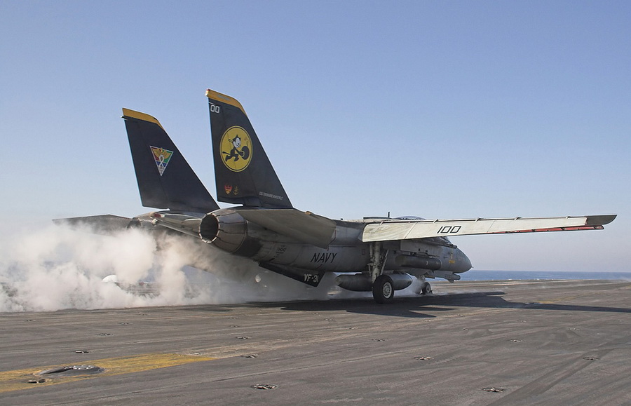 猫咪需要哪些用品,猫迷惑新技能