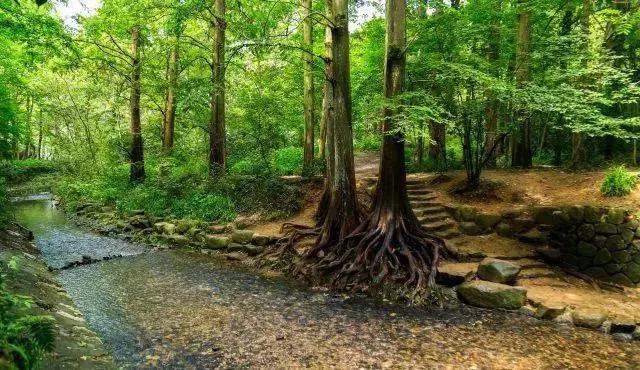 九溪景区梦溪山庄酒店,冬天雅致梦溪山庄杭州九溪店