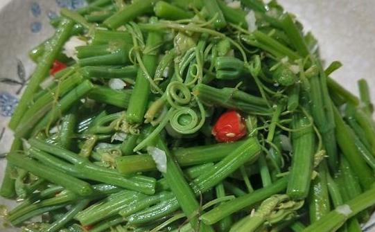 夏天必吃的10道菜最后一道绝了,推荐一款夏天比较适合吃的菜