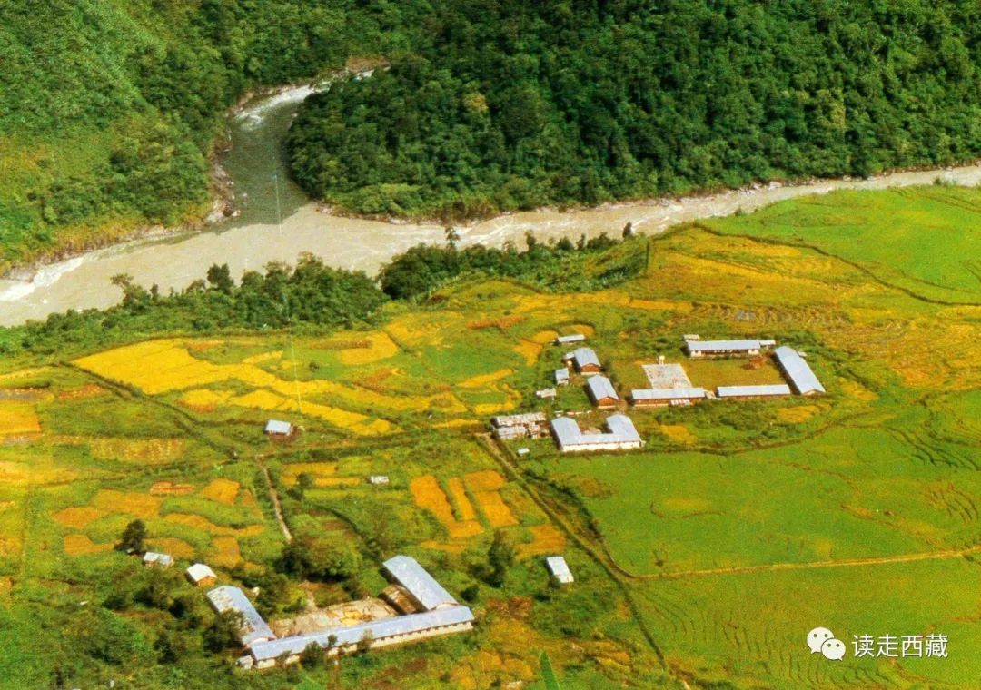 「雪域记忆」之十四——孤岛军魂，割舍不掉的墨脱情怀