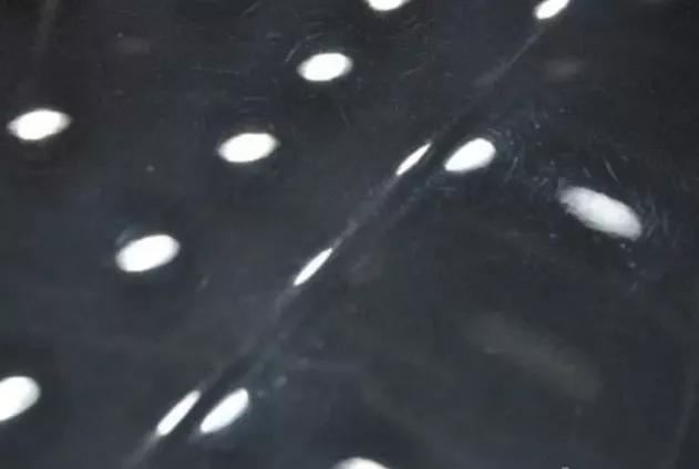 黄点渗入车漆怎么去除,车漆上密密麻麻的黄点