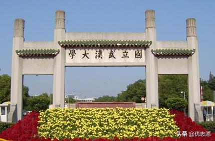 武汉的大学毕业生就业问题,武汉大学毕业生回国就业情况