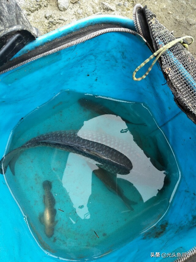 夏季几点钓鱼鱼容易开口,夏季高温钓鱼不开口