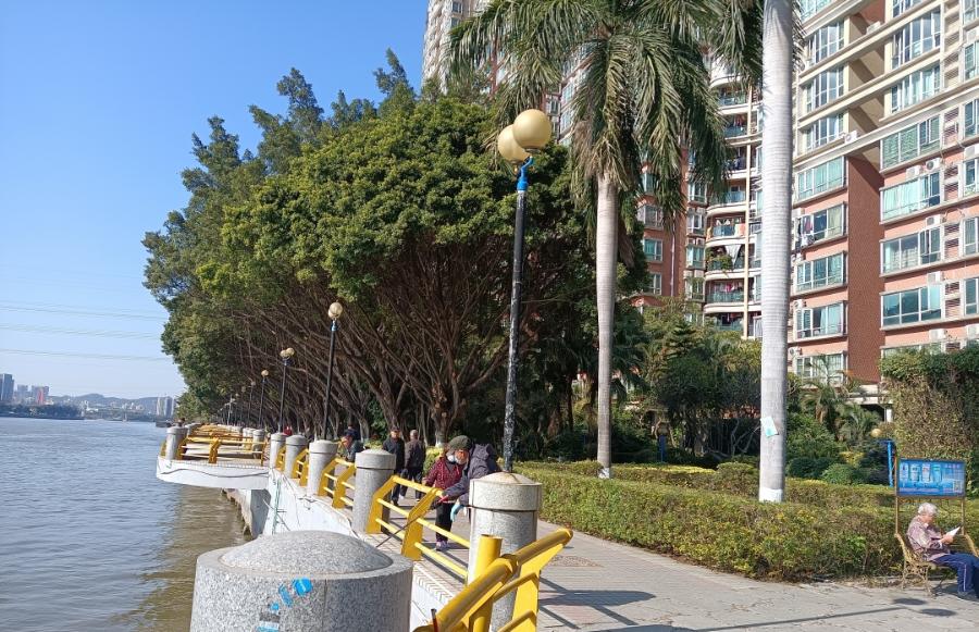 整理到眼瞎，250万如何买荔湾、白云、番禺