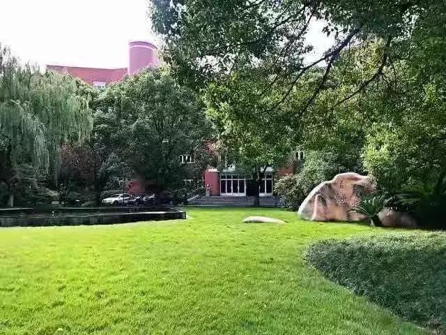 上海这个城市以前是什么样的,上海教育体系发展