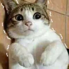 舍友喝酒吻戏,舍友喝多后跟我撒娇