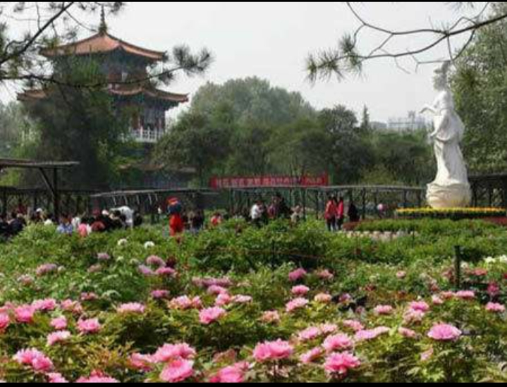 洛阳王城公园里的游泳池,洛阳涧西区游泳池大全