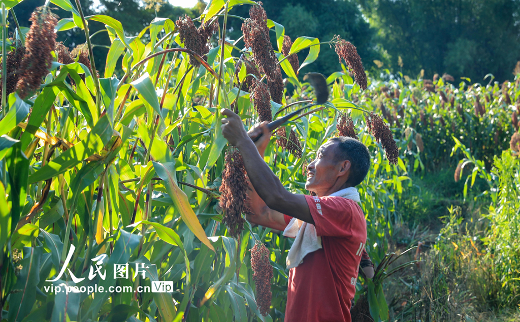 安康市恒口示范区百日大会战,安康市恒口示范区成立始末