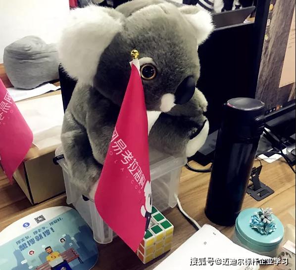 网易公司的战略分析和战略构造,网易公司管理系统案例分析