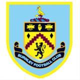 英超队徽一览表,2018-2019英超球队队徽