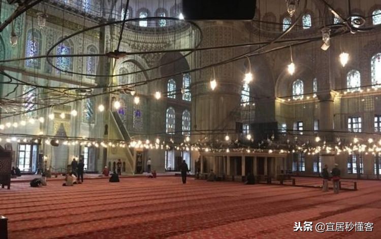 有消费感的地毯,高端购物地毯