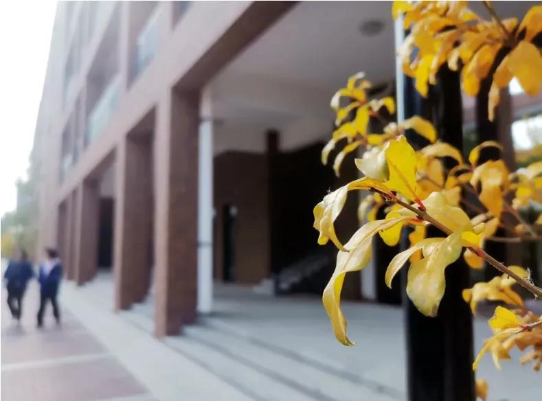 石家庄二中南校区怎么样,石家庄二中怎么样好不好