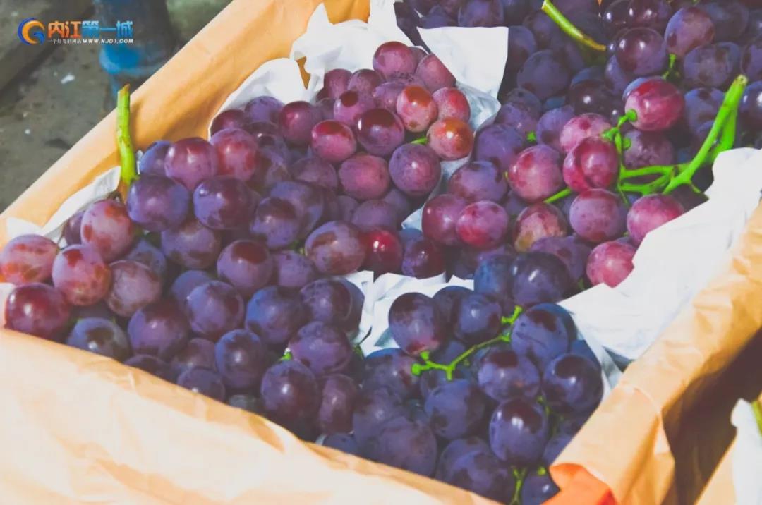 四川内江有哪些水果批发市场,内江最近的水果市场