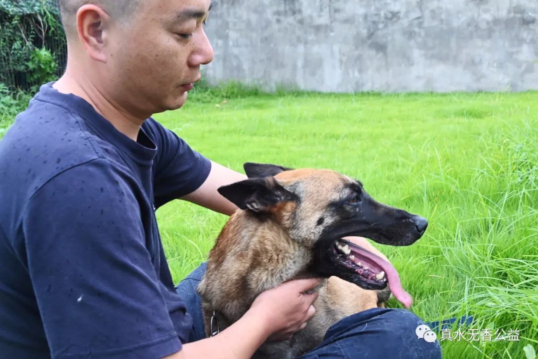我是一条警犬，我的名字叫马六