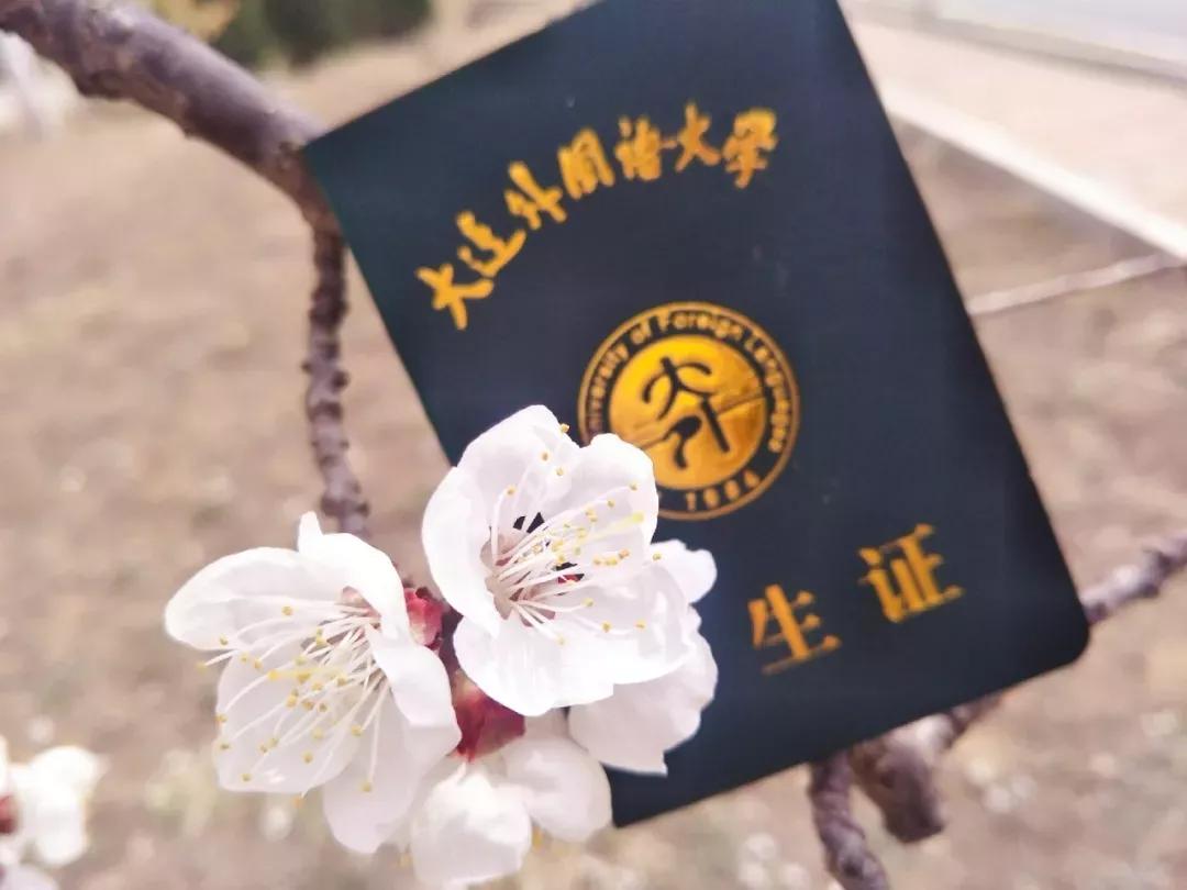 辽宁省高校(三十二)大连外国语大学