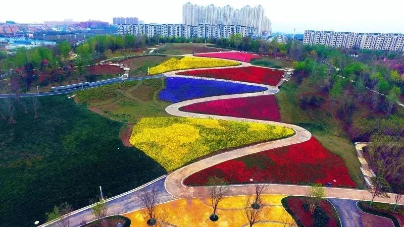 运动公园有哪些项目,一站式运动公园