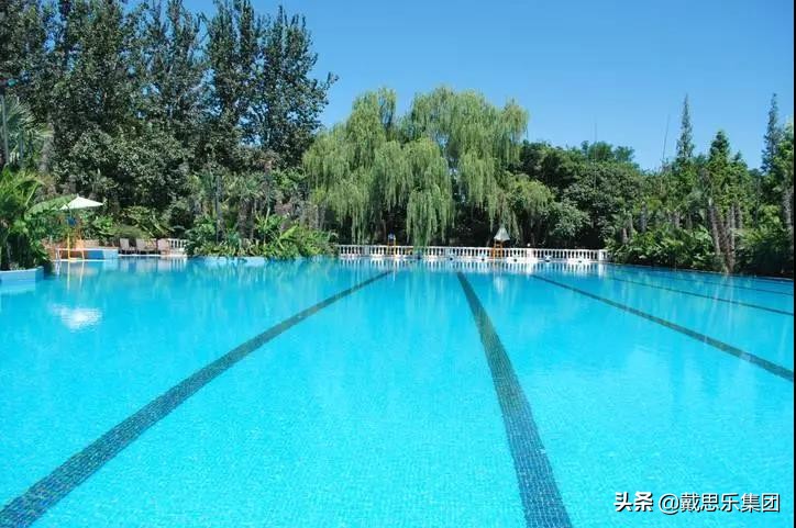 游泳池水质ph值高水质泛白,游泳池水质处理方式