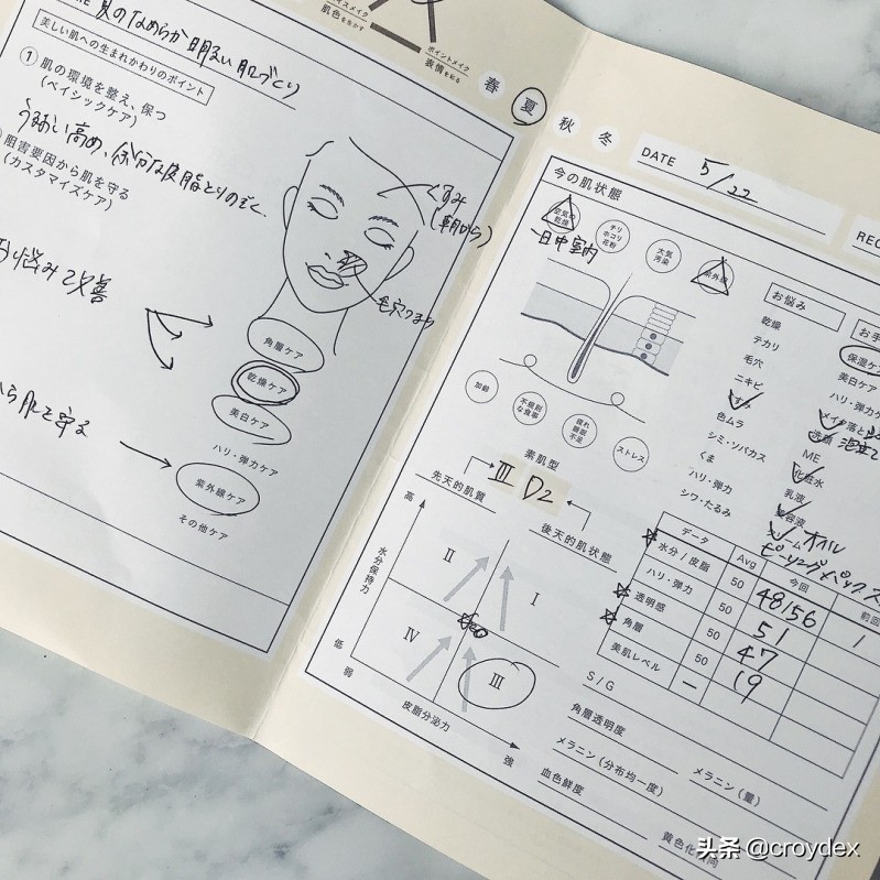 ipsa白瘦子和资生堂蓝胖子哪个好,资生堂ipsa护肤品