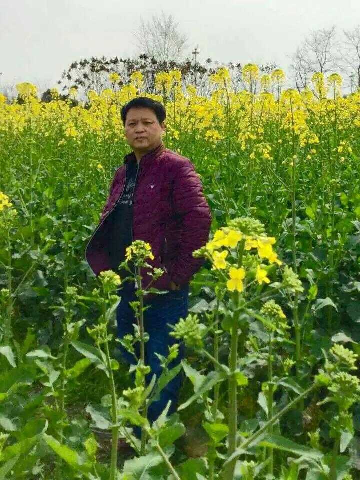 三维空间之谜,三维空间解谜游戏