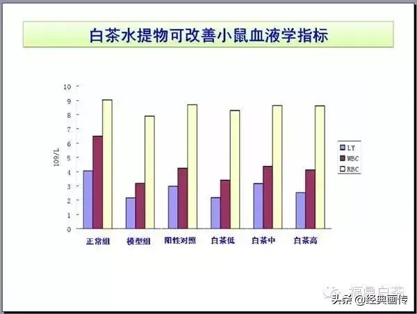 刘仲华白茶功效,刘仲华谈福鼎白茶
