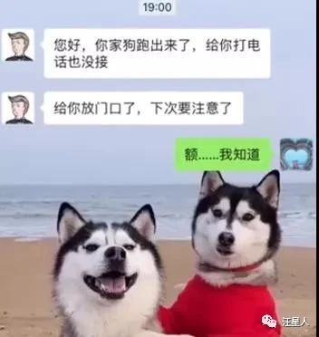 哈士奇走丢事件,哈士奇离家出走后被囚禁