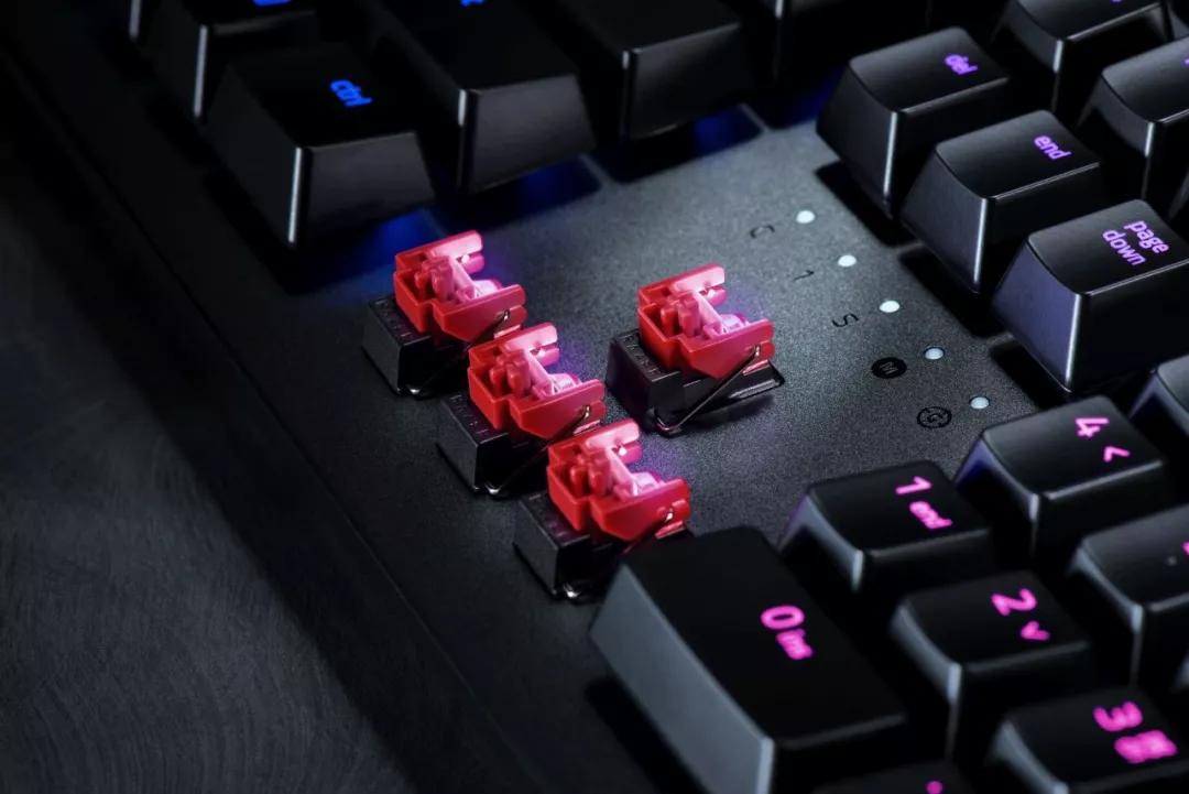 雷蛇轴体内部结构,雷蛇是什么轴体