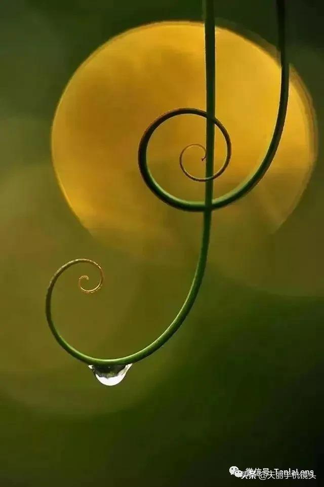 天丽摄影作品集,天丽镜头视频完整版