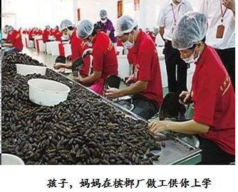 关于海南槟榔的那些二三事“槟榔哥”和“槟榔妹”们有同感吗?