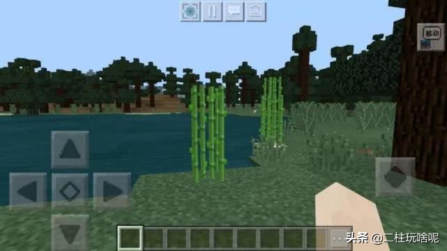 十大珍稀植物排行榜,中国十大珍稀植物排名