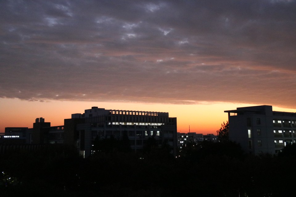 沐春简历,沐春大学