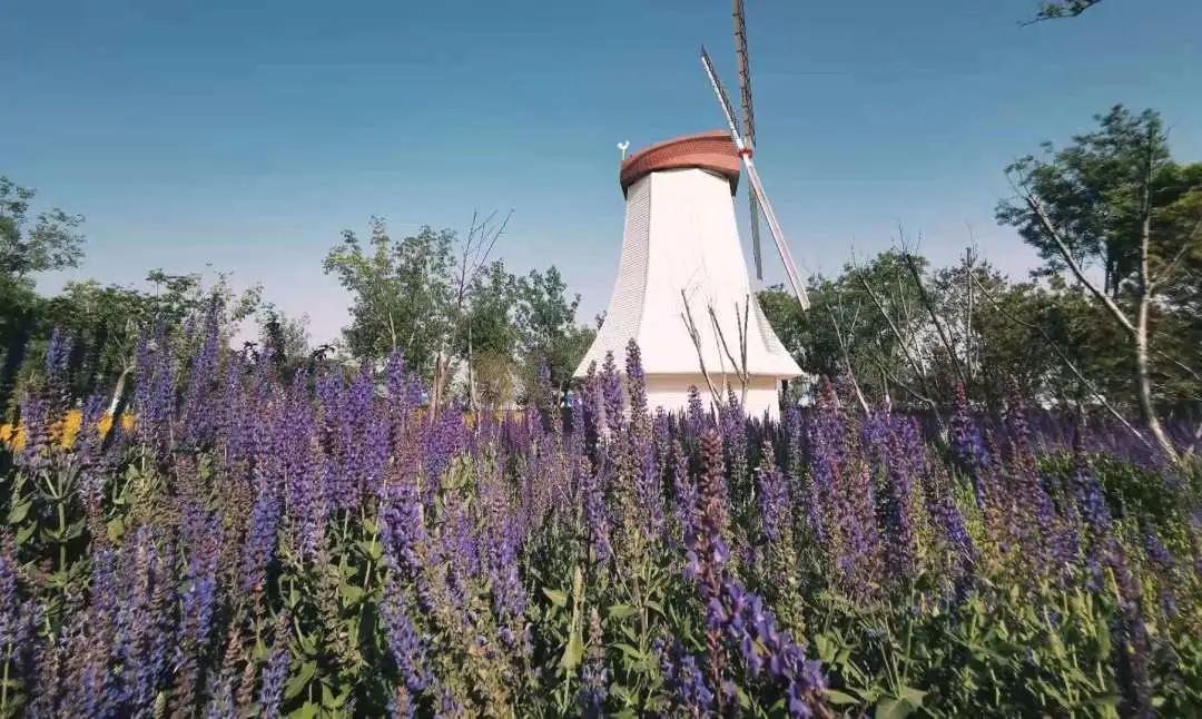 河北唐山海岛旅游攻略,唐山海岛