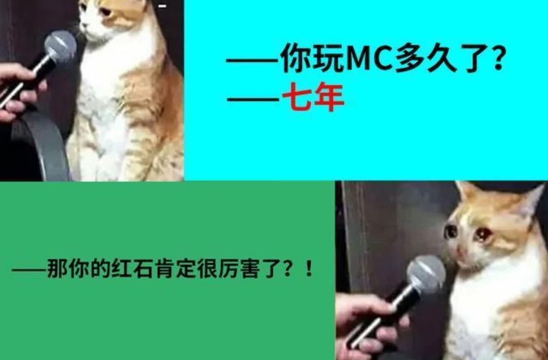 我的世界:MC老玩家秒懂的5张网络趣图,最后1图就是心灵暴击