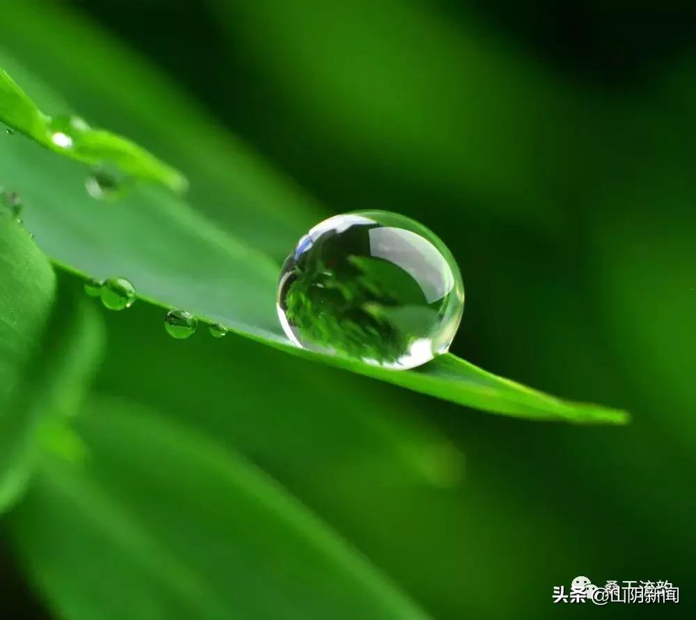 山阴县合盛堡乡新闻,山阴县岱岳镇