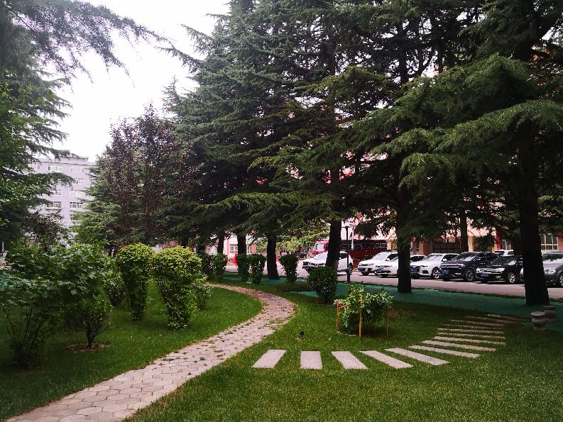 国家电网甘肃电力科学研究院地址,国网甘肃电力公司电科院近期新闻