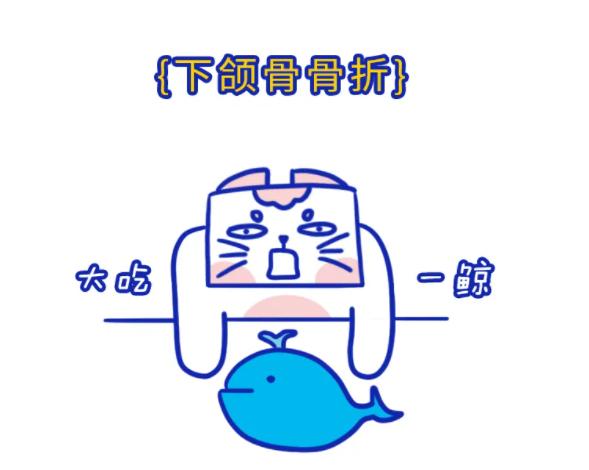 怎么判断小猫咪骨折,小猫咪脊椎受伤最佳恢复方法