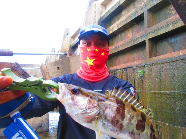 铅头钩和德州钓组哪种好,实战铅头钩最强绑法