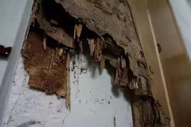 千防万防家贼难防高大上说法,地下室装修防潮湿的最好方法