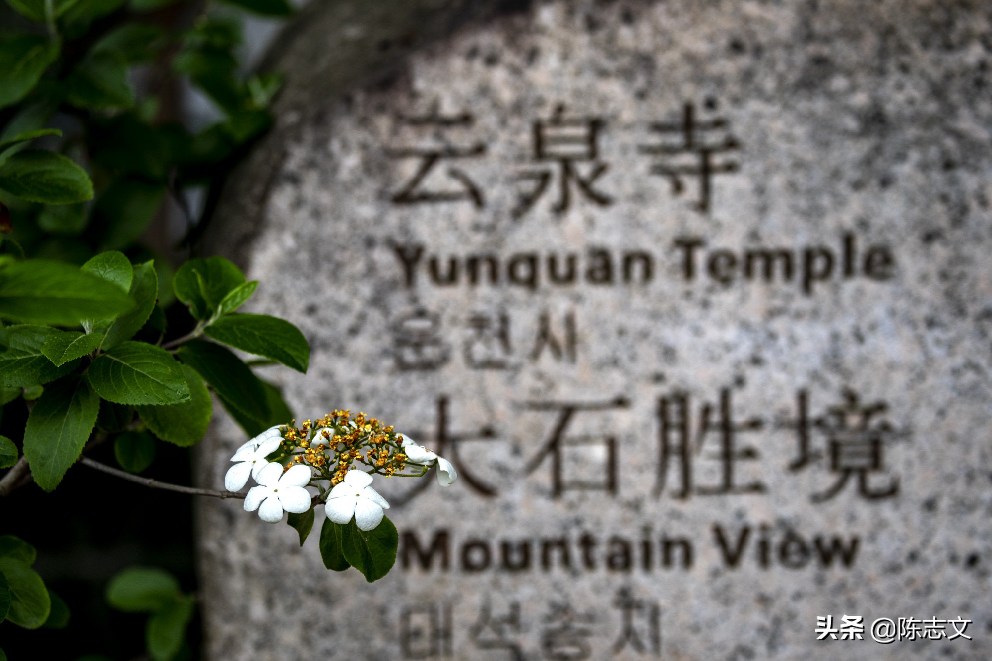 苏州有一座单独的山,苏州有座佛的山