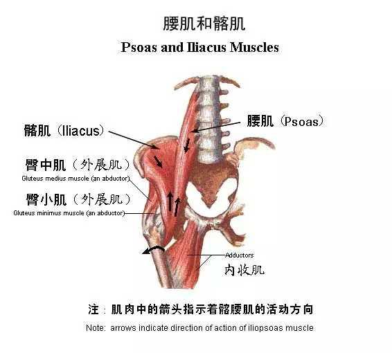为什么腿控制不住的发抖,改善腿型有效不费劲简单方法