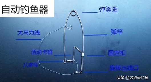 捕鼠夹式钓鱼,老鼠夹子钓鱼原理图解