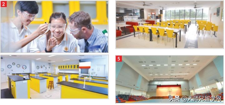 马来西亚双威大学师资力量,马来西亚双威大学的专业