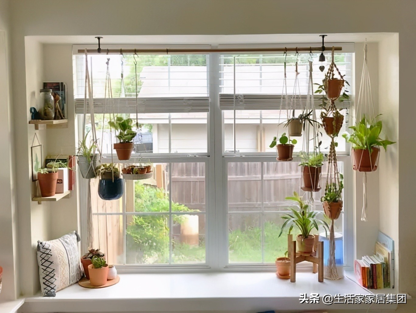 装修极简主义的室内植物搭配,家居植物现代风推荐