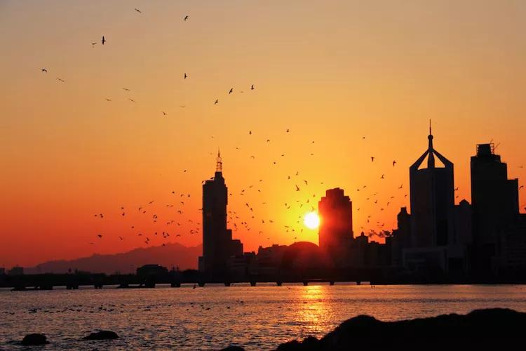 尼康入门单反,单反快速入门攻略