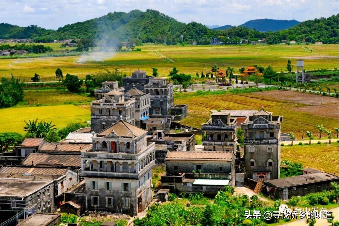 这个网红记录片,告诉你台山改革前不为人知的一面