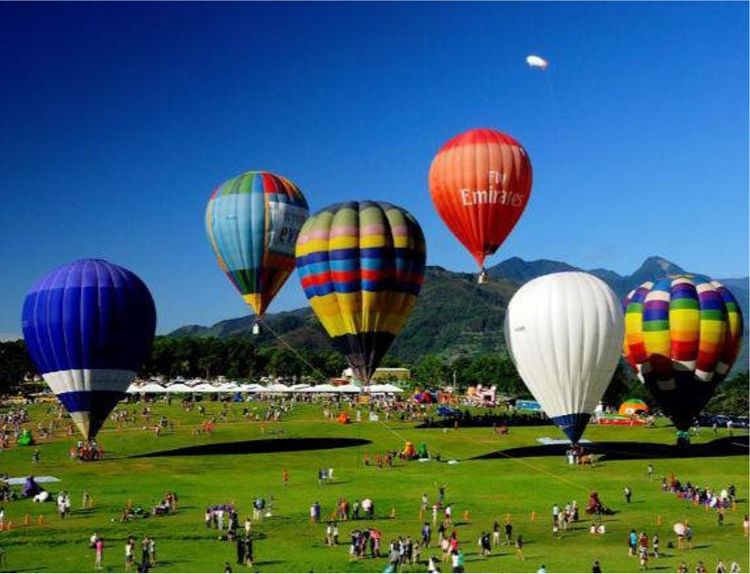 新春打卡重庆香水百合网红艺术节,坐小火车、玩玻璃滑道...